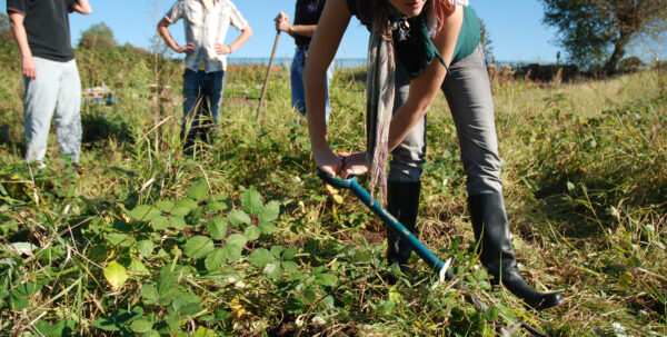 BDP's allotment project receives National Lottery funding.